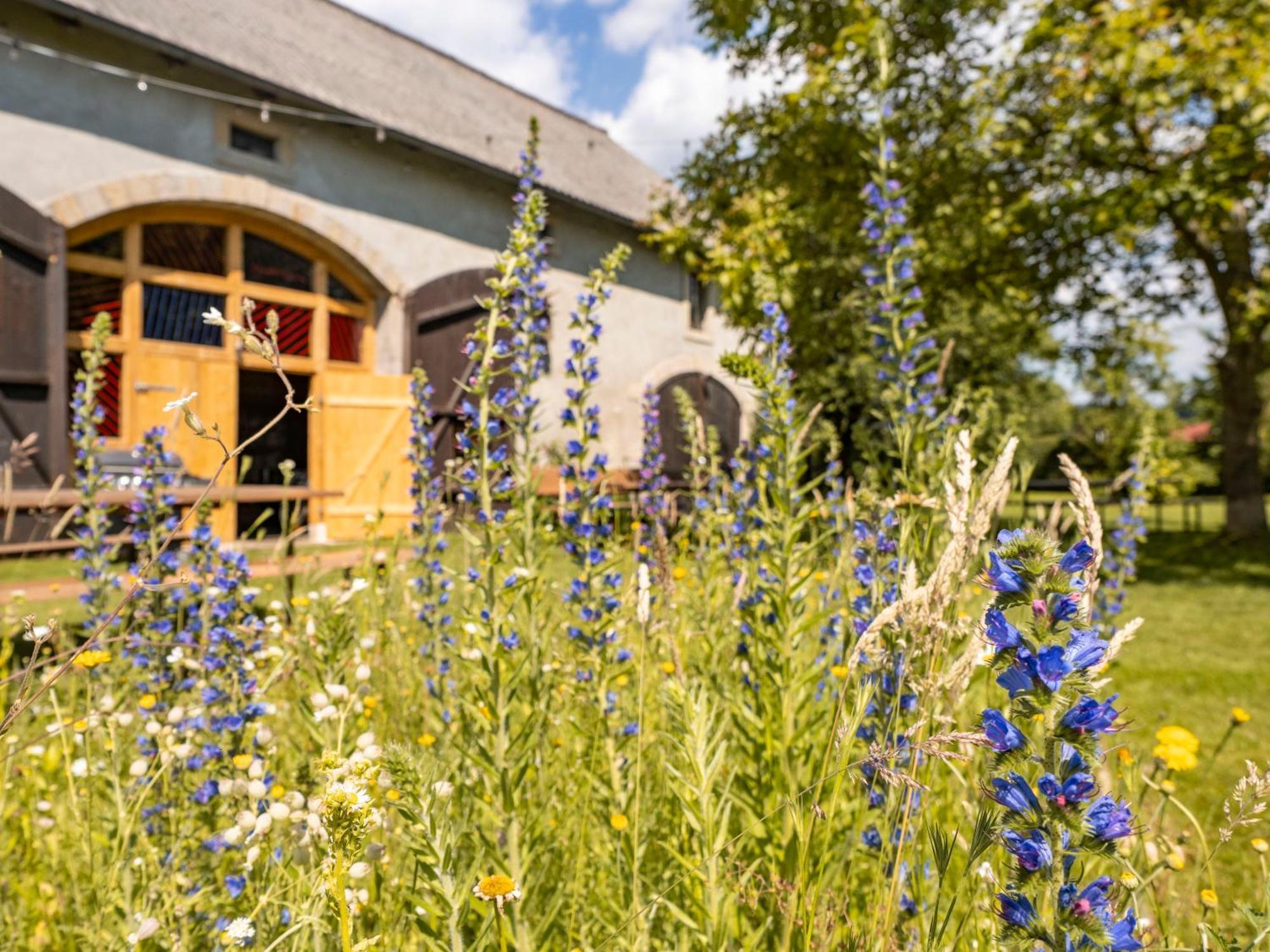 Hinterland Hostel Rathen Exterior photo